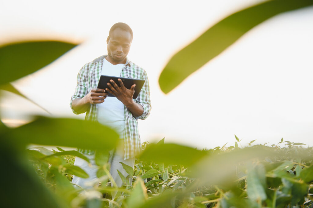 Agricultura 5.0 na prática: veja como revoluciona os processos