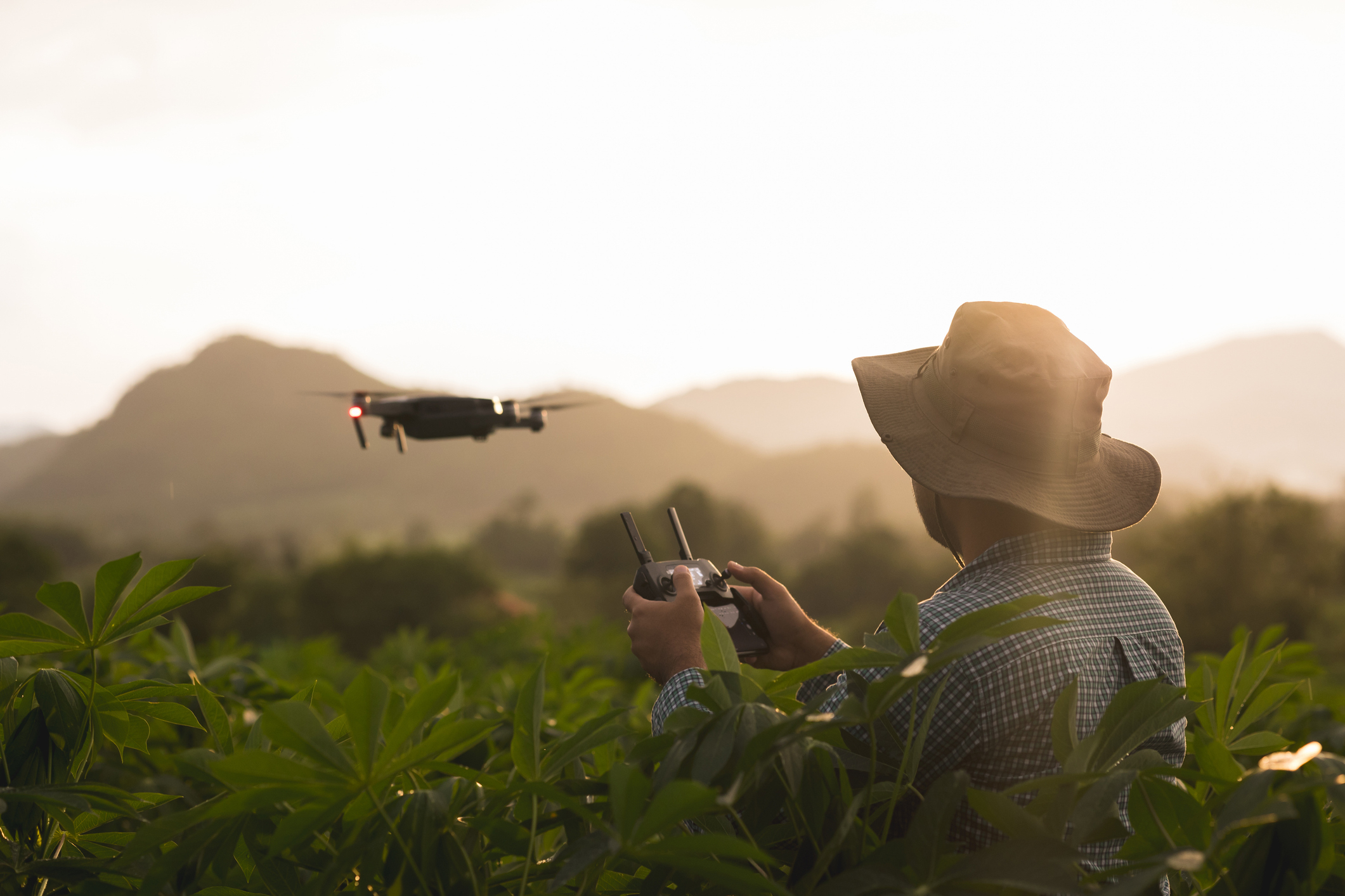 agricultura moderna