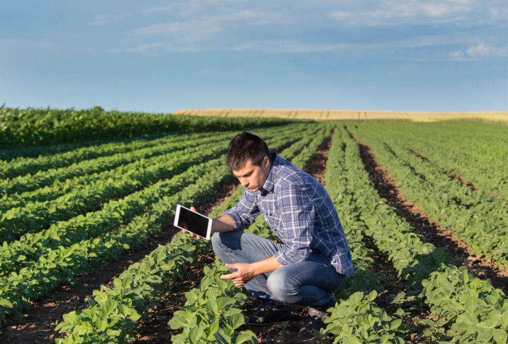 Planejamento agrícola: por que é fundamental para o sucesso no campo?
