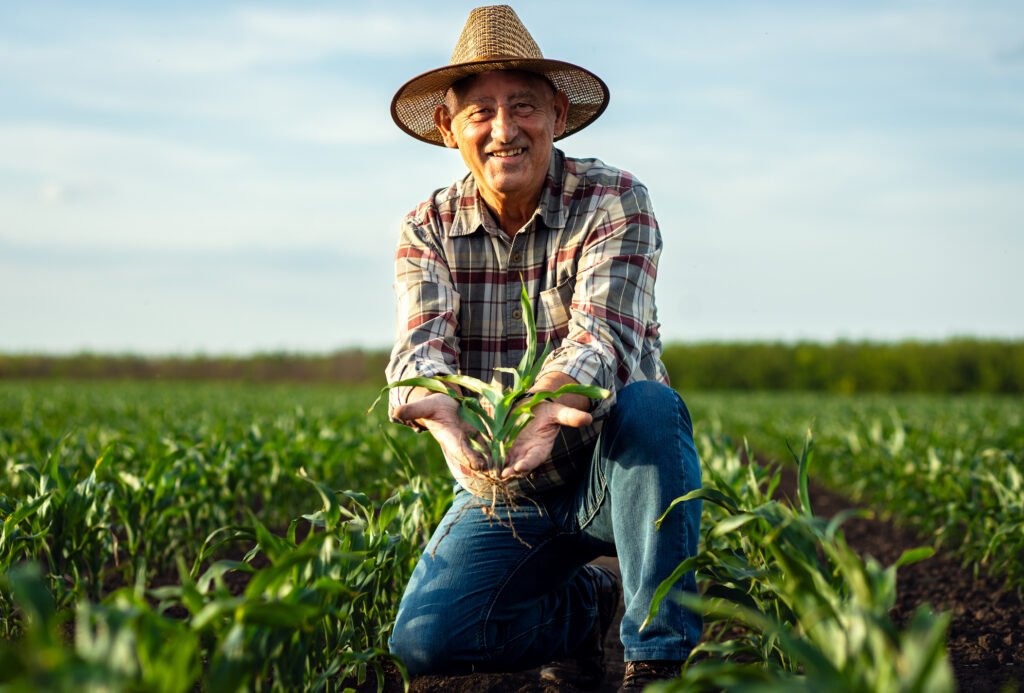 Agronegócio: confira um panorama sobre o setor no Brasil