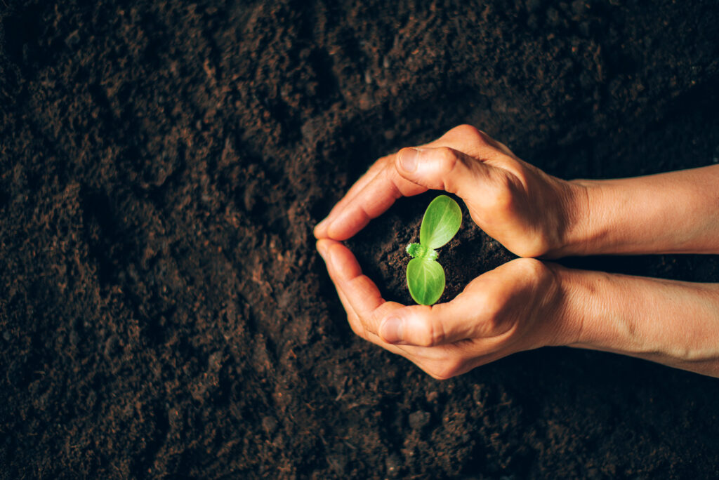 Responsabilidade ambiental: como alinhar com produtividade no agro?