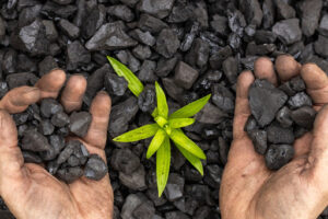 Folha verde crescendo em meio a mineração
