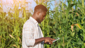 Homem negro utilizando o tablete frente a uma plantação